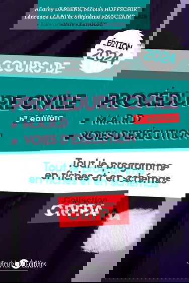 Cours de procédure civile et modes alternatifs de règlement des différends 2024: Tout le programme en fiches et en schémas