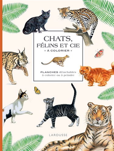 Chats, félins et cie à colorier : planches détachables à colorier ou à peindre