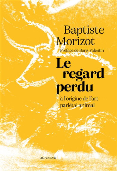 Couverture de Le regard perdu : à l'origine de l'art pariétal animal
