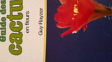 Guide des cactus en fleurs