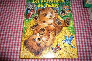 LES AVENTURES DE TEDDY,SDP le livre club