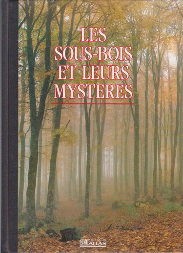 Les sous-bois et leurs mystères