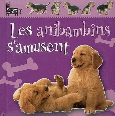 Les anibambins s'amusent