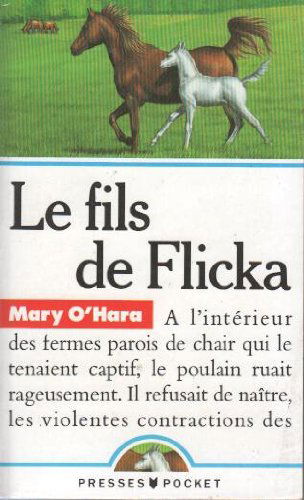 Le fils de flicka