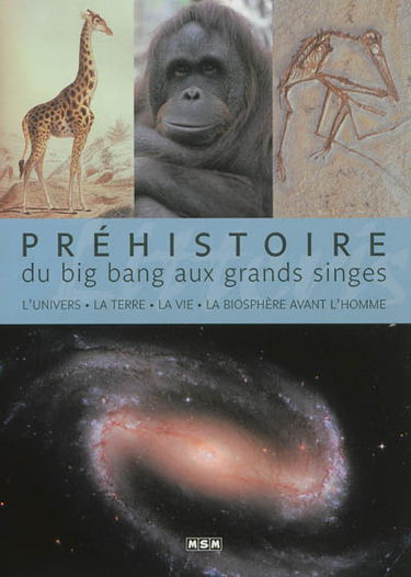 Préhistoire. Du big bang aux grands singes : l'Univers, la Terre, la vie, la biosphère avant l'homme