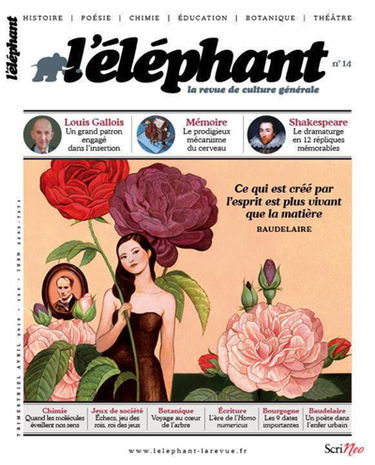 L'Eléphant : la revue, n° 14