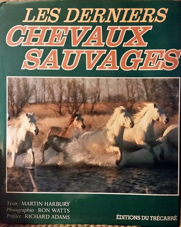 Les Derniers Chevaux sauvages