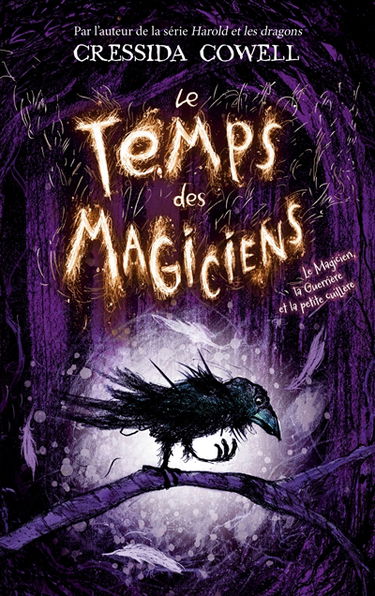 Le temps des magiciens. Vol. 1. Le magicien, la guerrière et la petite cuillère