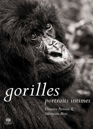 Gorilles : portraits intimes