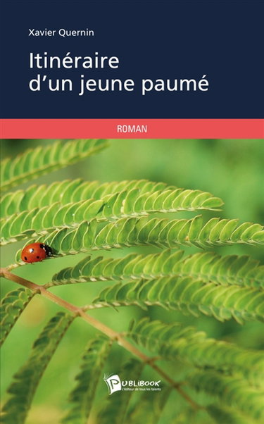Itinéraire d'un jeune paumé