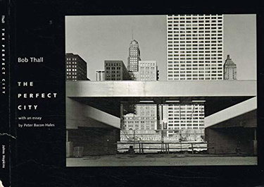 Couverture de The Perfect City