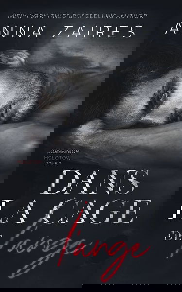 Dans la cage de l’ange