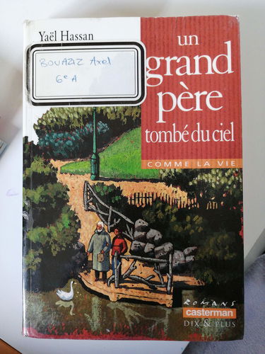 Un Grand-Pere Tombe Du Ciel