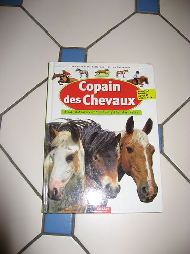 Copain des chevaux : A la découverte des fils du vent