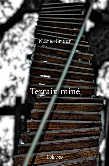Terrain miné