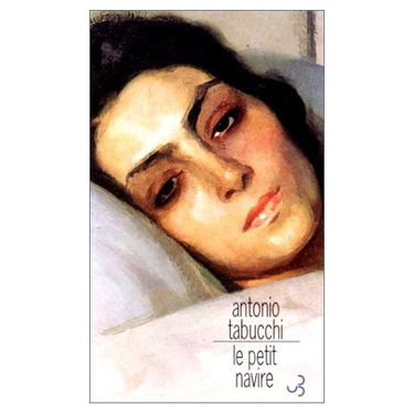 Le petit navire