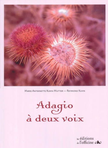 Adagio à deux voix