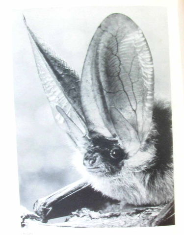 Des sommets de la montagne aux bords de la mer. notre terre.