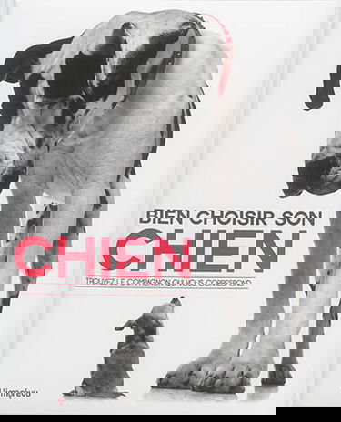 Bien choisir son chien : trouvez le compagnon qui vous correspond