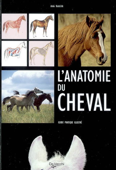 L'anatomie du cheval : guide pratique illustré