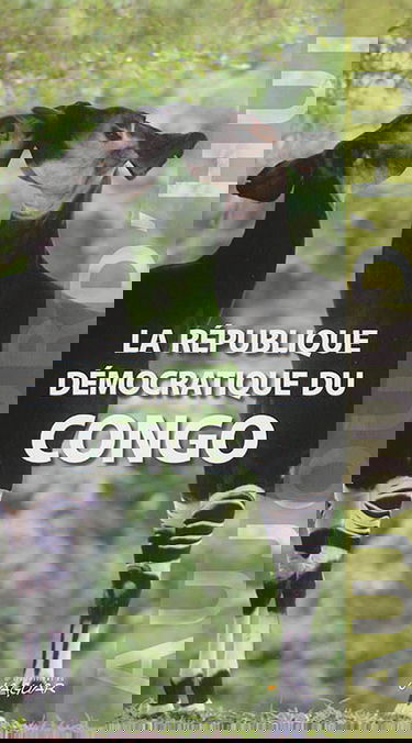 La République démocratique du Congo