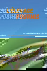 L’élevage des fourmis: Vie, soins et maintenance en captivité