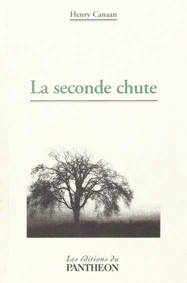 Couverture de La seconde chute par Henry Canaan