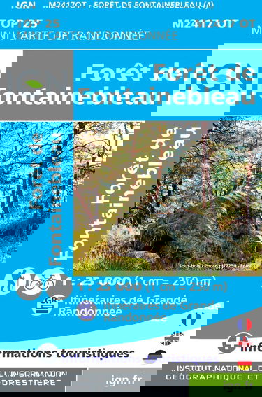 M2417O Mini foret de fontainebleau