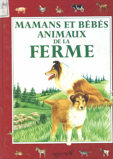 Mamans et bébés animaux de la ferme