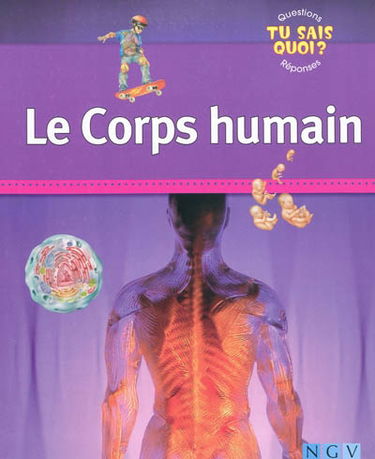 Le corps humain