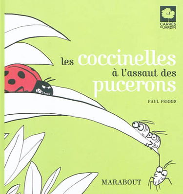 Les coccinelles à l'assaut des pucerons