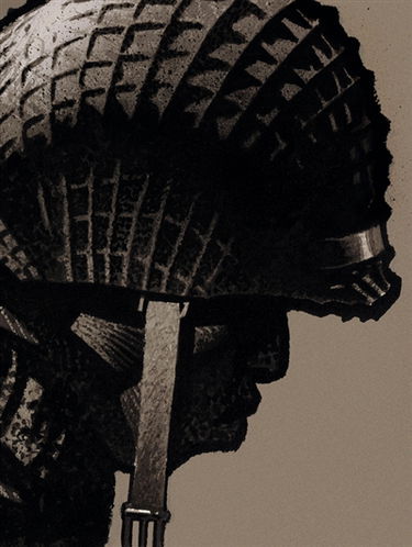 Cinq branches de coton noir