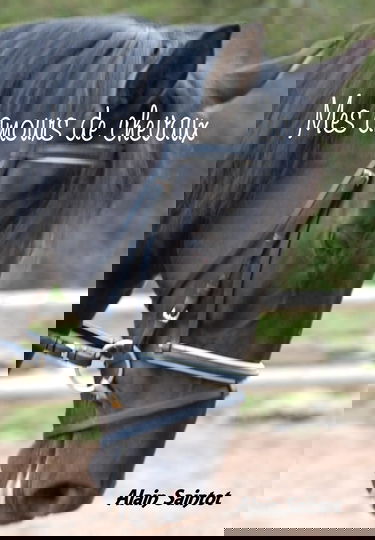 Mes amours de chevaux