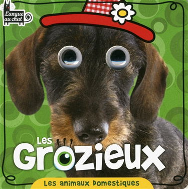 Les animaux domestiques