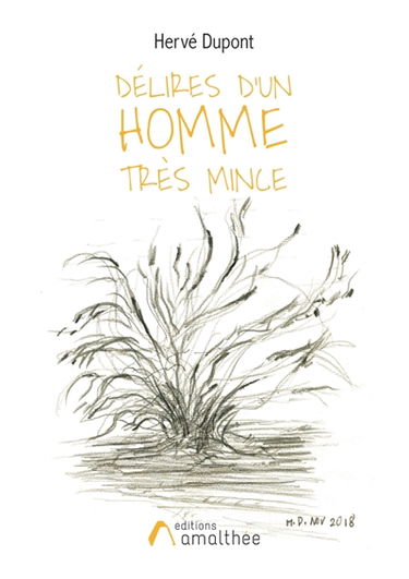 Délires d'un homme très mince