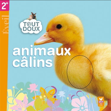 Animaux câlins