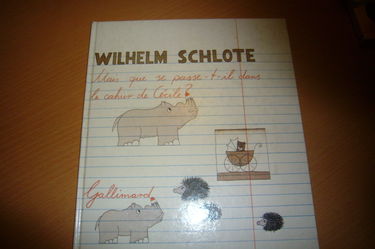 Mais que se passe-t-il dans la tête de Cécile ?