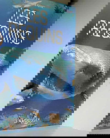 Les requins (Larousse.explore)