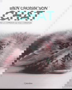 Bien choisir son chat : trouvez le compagnon qui vous correspond