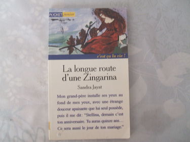 La longue route d'une Zingarina