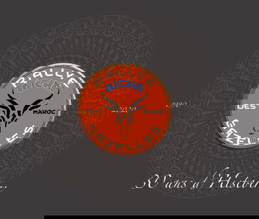 Rallye Aïcha des Gazelles: 30 ans d'Histoire de femmes - Les valeurs se partagent