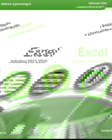 Excel Initiation 2013 - 2016