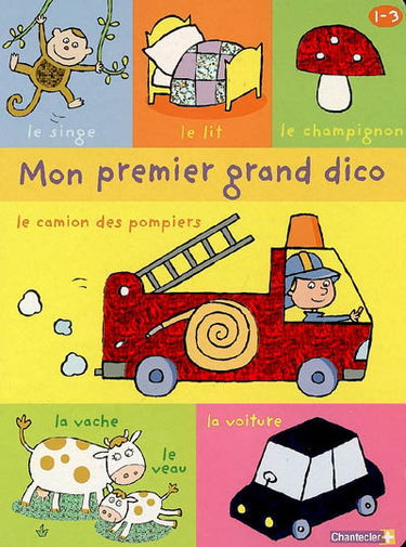 Mon premier grand dico