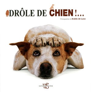 Drôle de chien !...