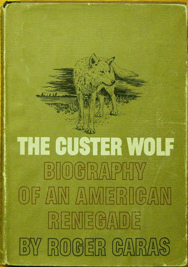 Loup blanc de custer-le-