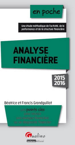 Analyse financière : les points clés pour réussir une analyse financière ou un diagnostic financier : 2015-2016