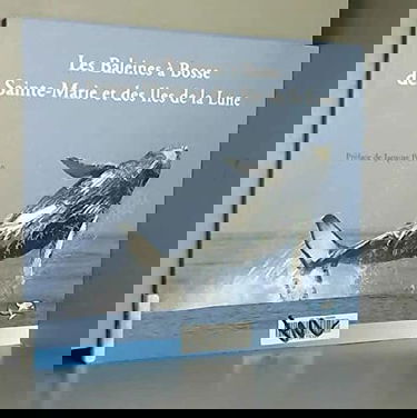 Les baleines à bosse de Sainte-Marie et des îles de la Lune