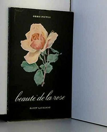 Beauté de la rose