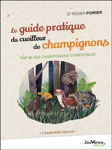 Le guide pratique du cueilleur de champignons : top 20 des champignons comestibles