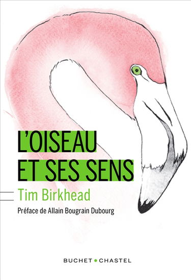 L'oiseau et ses sens